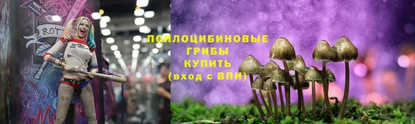 винт Алексеевка