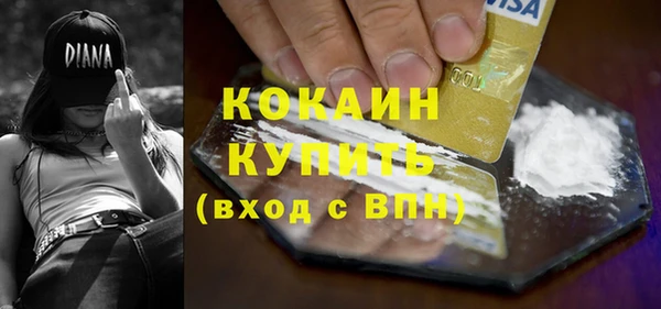дурь Каменка