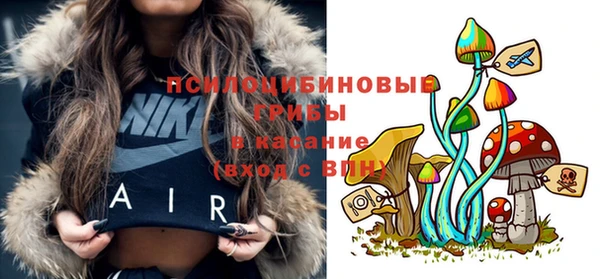 винт Алексеевка