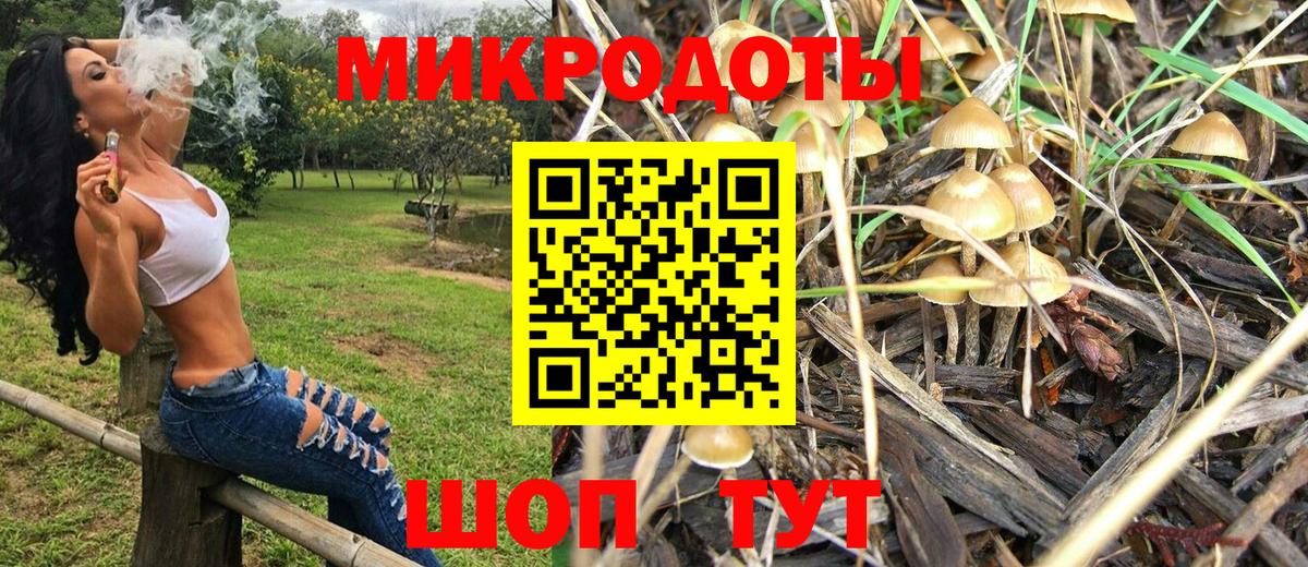 Псилоцибиновые грибы Cubensis Ачинск