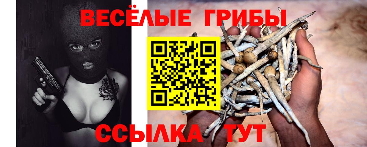 Ачинск  Псилоцибиновые грибы Psilocybine cubensis  Вход с VPN  Галлюциногенные грибы мицелий 